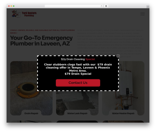 WordPress theme Karsfix - turdbustersplumbing.com