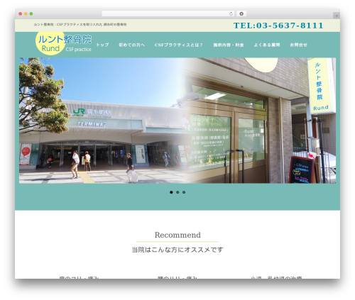 Leaf WordPress theme - rund-s.com