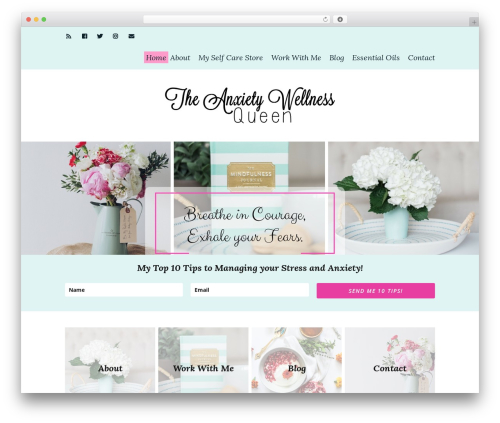 Aw bloom redirection WordPress plugin - theanxietywellnessqueen.com