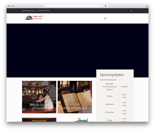 WordPress theme Custom Theme - restaurantchinacity.com