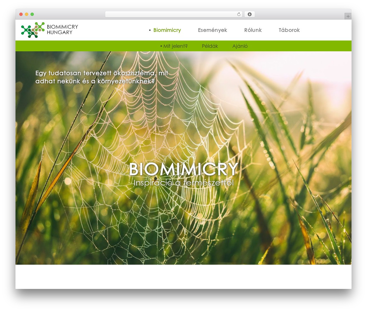 Bootstrap Basic free WP theme - biomimicryhungary.com Bootstrap Basic free WP theme - biomimicryhungary.com