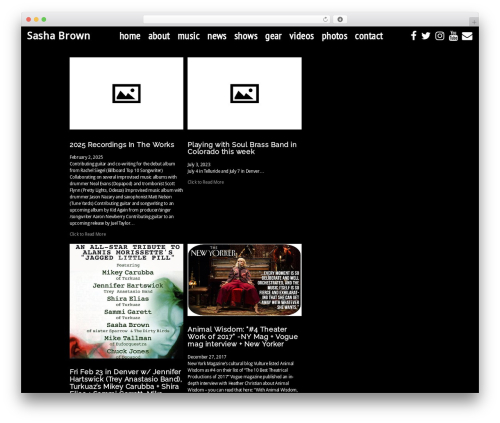 Pl section navpro WordPress plugin - sashabrown.com