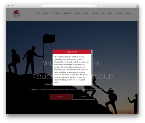 Automatic Copyright Year (automatic-copyright-year) free WordPress plugin - pouchsupport.org