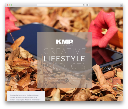 Newsletter2Go free WordPress plugin - kmp-lifestyle.com