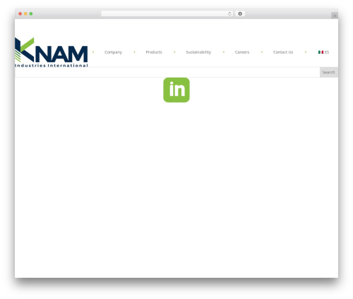 Divi WordPress theme - knamind.com