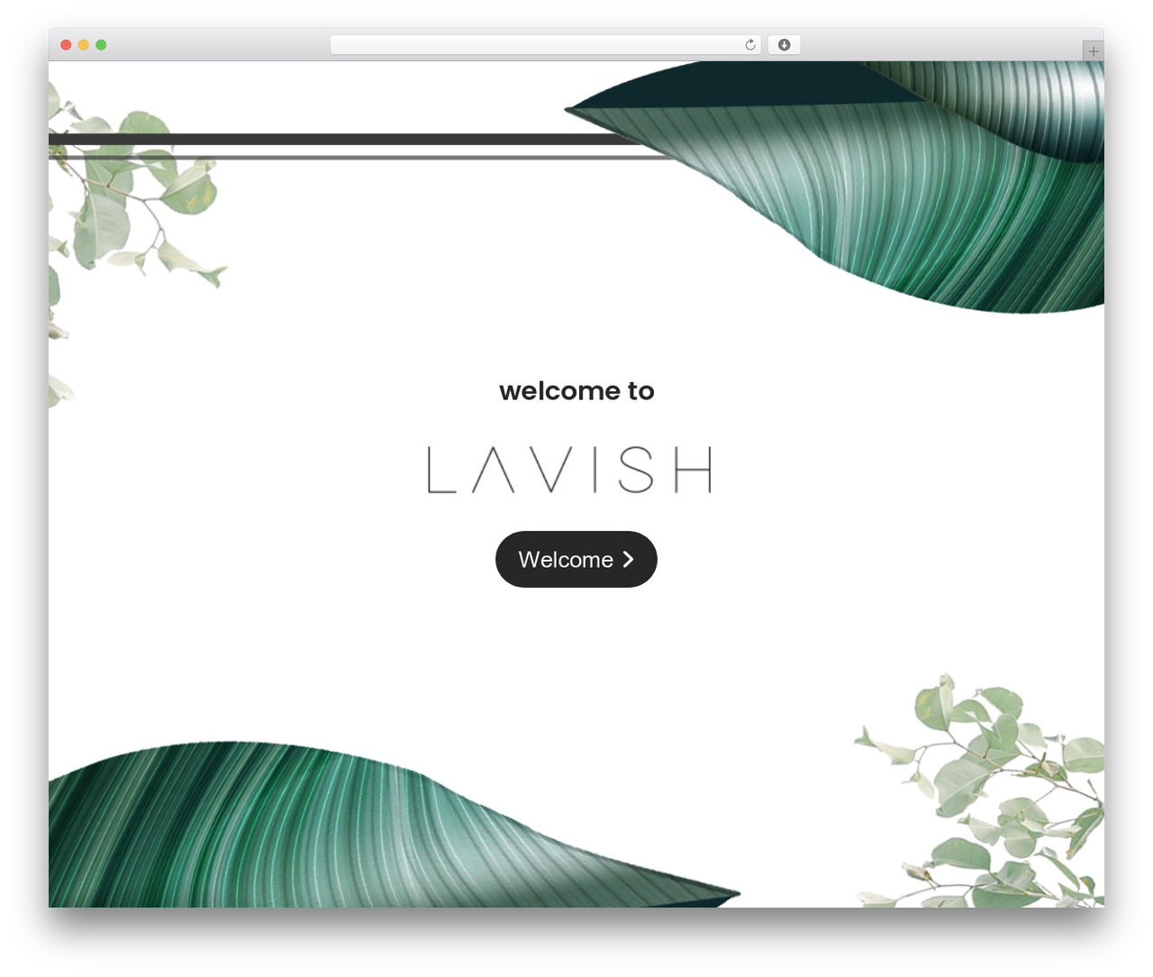 Divi WordPress theme - lavishsa.co.za Divi WordPress theme - lavishsa.co.za