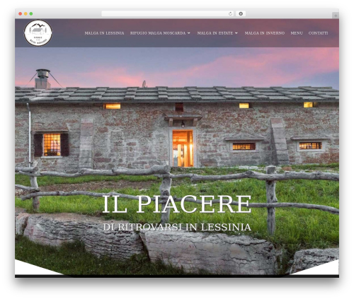 Polo best WordPress theme - malgamoscarda.com