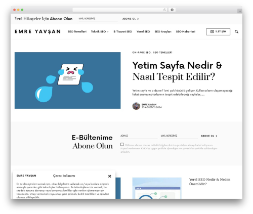 Once WordPress theme - emreyavsan.com