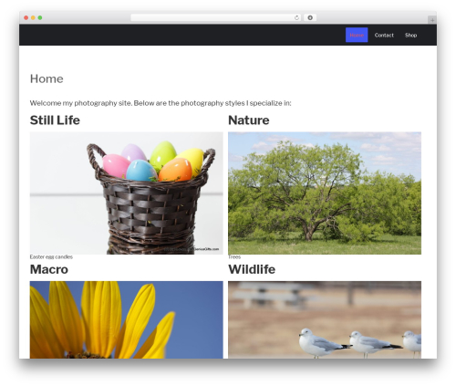 Theme WordPress elemento - sjeffersonfineart.com
