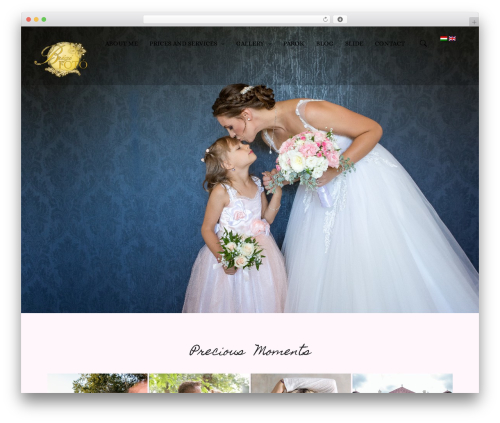Wd_shortcode WordPress plugin - brigifoto.hu