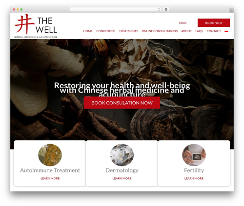 Bb custom modules WordPress plugin - thewellclinic.uk