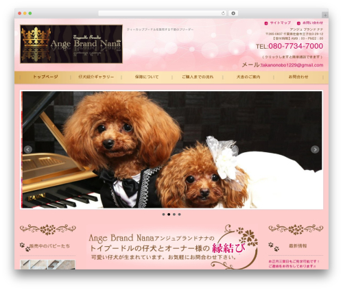 Promotion Slider (promotion-slider) free WordPress plugin - teacup-tiny-poodle.com Promotion Slider (promotion-slider) free WordPress plugin - teacup-tiny-poodle.com