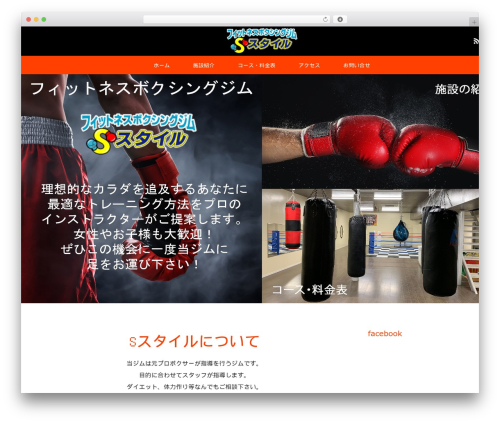 MAXX WordPress website theme - fbs-style.com