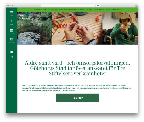 The Sceleton theme best WordPress theme - trestiftelser.se