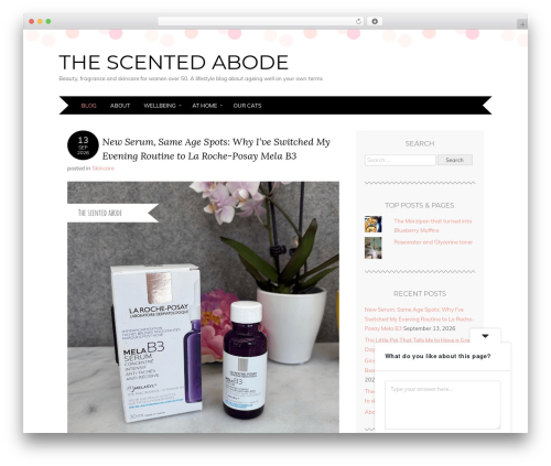 WP Affiliate Disclosure (wp-affiliate-disclosure) free WordPress plugin - thescentedabode.com