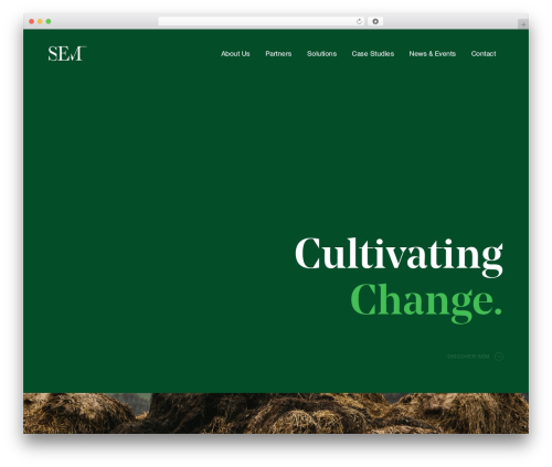 Theme WordPress SEM Theme - sem.world
