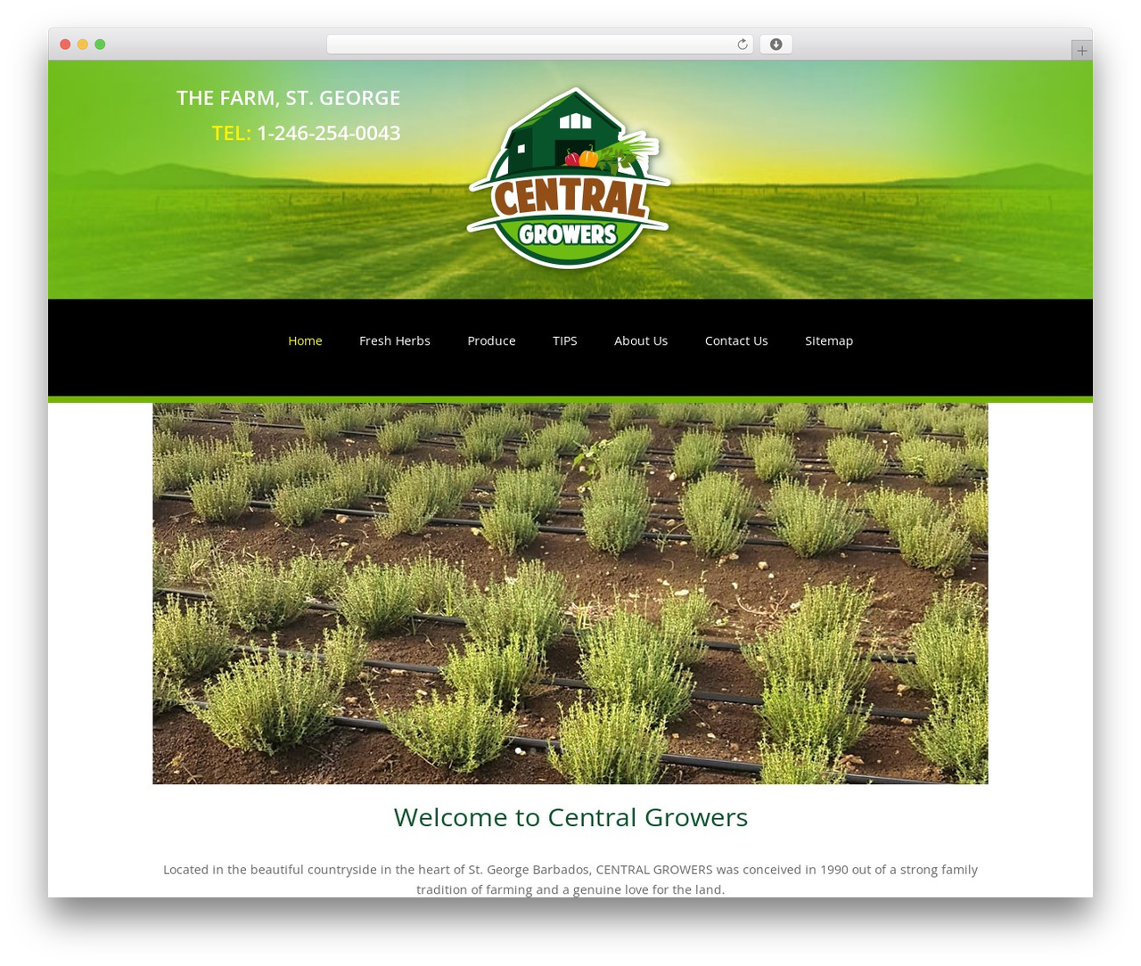 WordPress theme Divi - centralgrowersbb.com WordPress theme Divi - centralgrowersbb.com