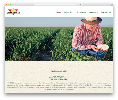 Zip recipes lover WordPress plugin - gillsonions.com