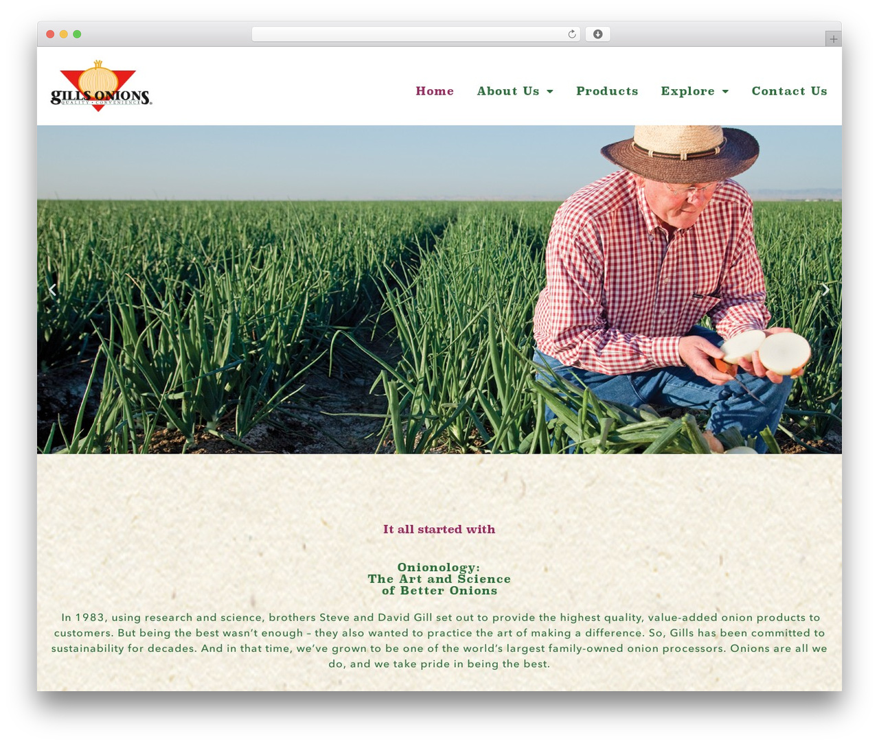WordPress theme Hello Elementor - gillsonions.com WordPress theme Hello Elementor - gillsonions.com