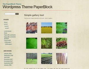 WordPress theme PaperBlock by michaelabstract[at]gmail.com