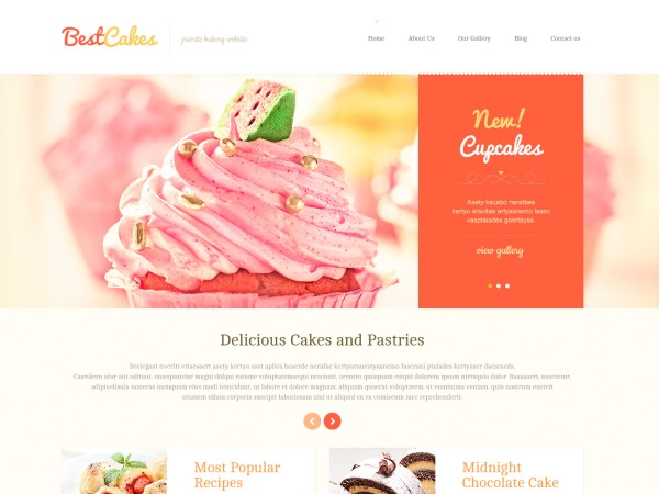 WordPress theme theme46571