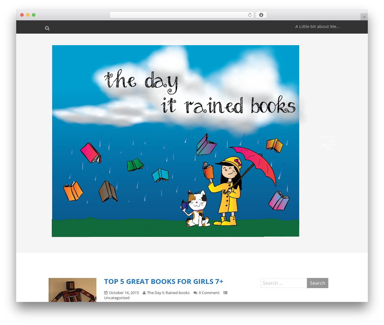 WP theme Optimizer PRO - thedayitrainedbooks.com
