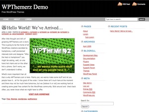 X Effect theme WordPress by focus, #email:focus, #url:focus {