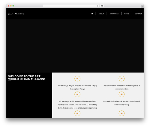 Consultancy WordPress theme - danmeluzin.com