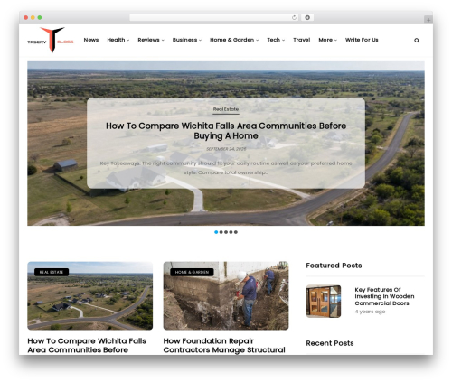 Disto WordPress blog theme - taserv.net