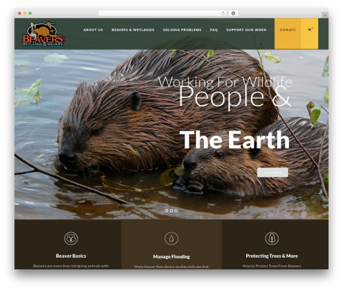GreenNature WordPress page theme - beaversww.org