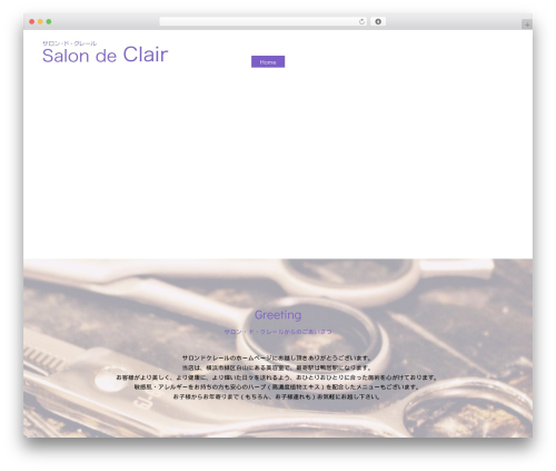 WordPress theme Themify Basic - salon-de-clair.com