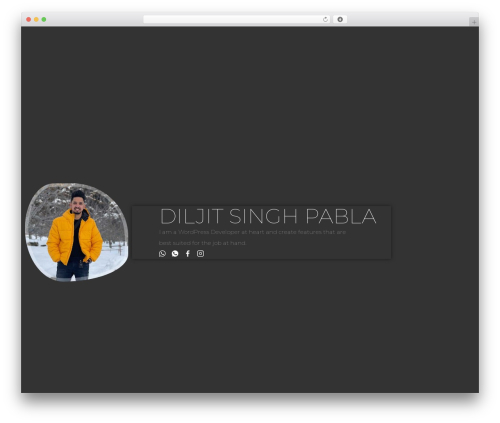 WordPress theme Tokyo - diljitpabla.com