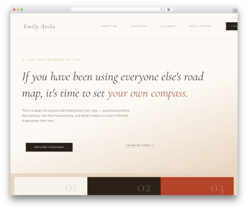Formlayer WordPress plugin - emilyavila.com