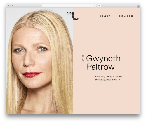 Change Name WordPress theme - disruptionmag.com