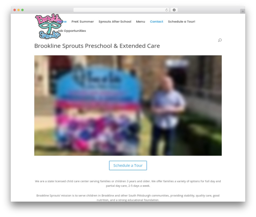 Gwconditionallogicdates WordPress plugin - brooklinesprouts.com