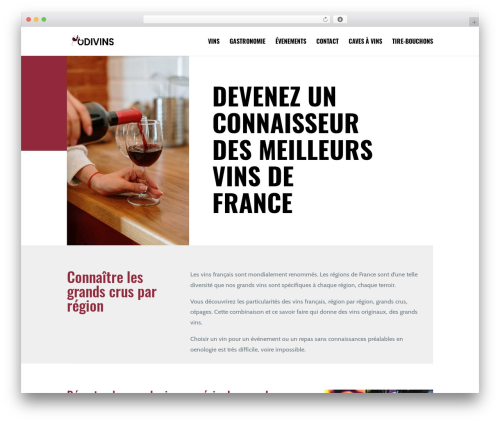 Power ai term children WordPress plugin - odivins.fr