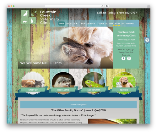 Focus Schema Child theme WordPress - fountaincreekvet.net
