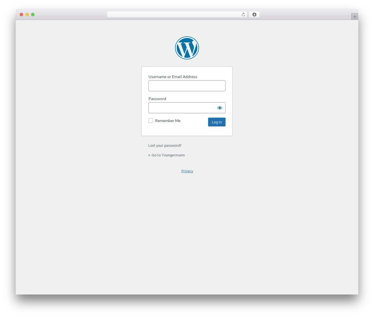 Mobius WordPress theme - youngermann.com Mobius WordPress theme - youngermann.com