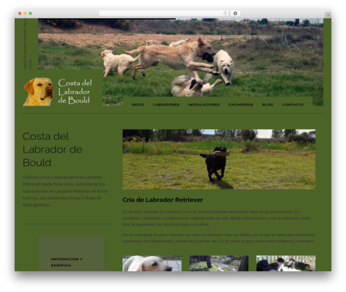 Uxbarn portfolio WordPress plugin - costadellabrador.com