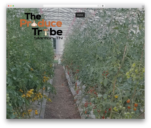 WordPress theme ui8 - theproducetribe.com