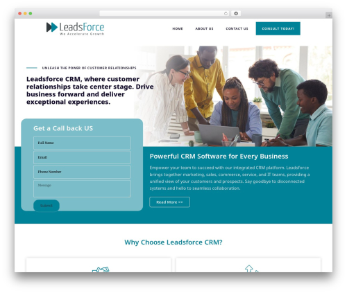 Brunn core WordPress plugin - leadsforce.net