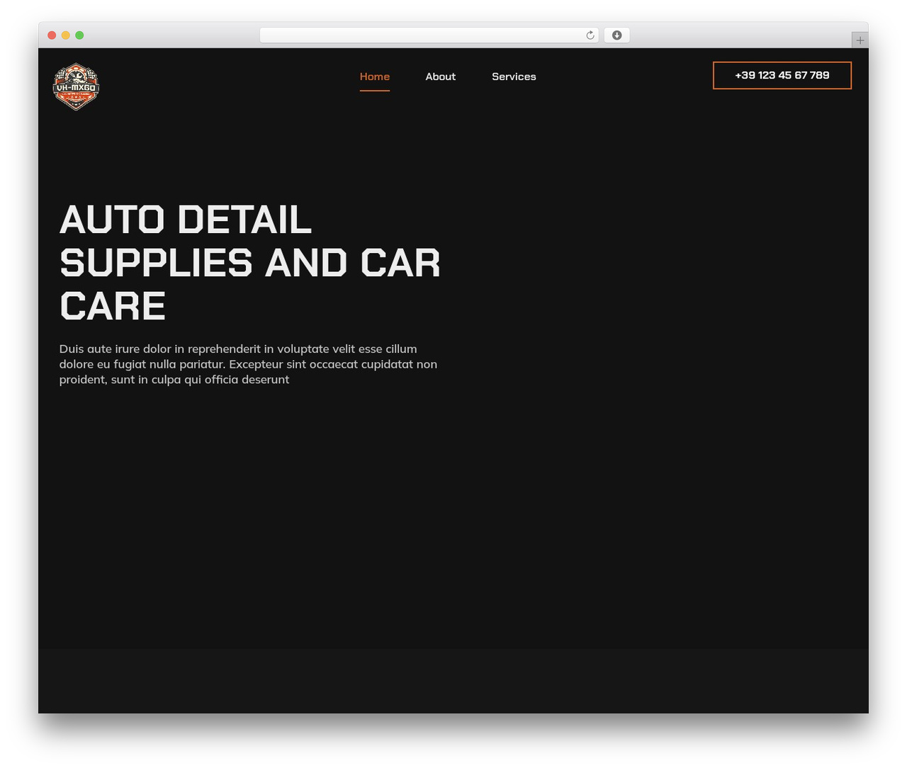 WP theme Hello Elementor - vh-mxgo.com