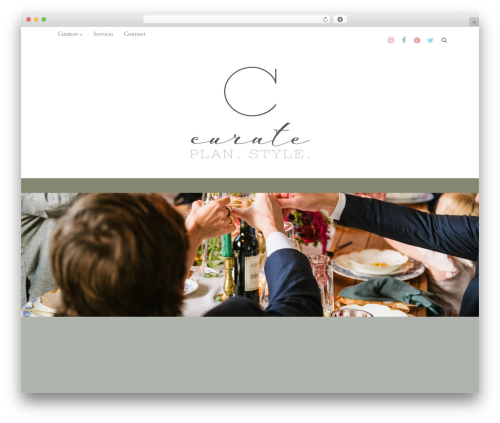 Optimizer PRO theme WordPress - curateplanstyle.com