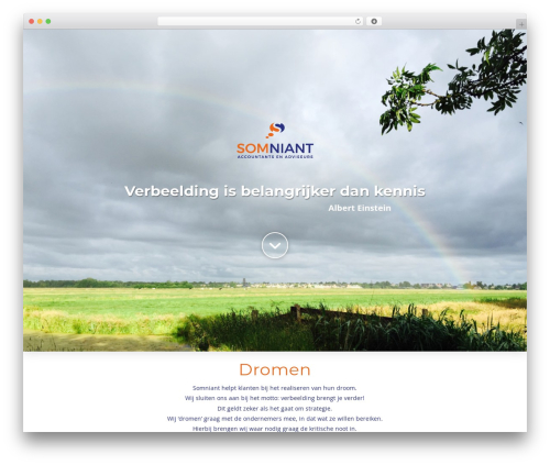 Pro theme WordPress - somniant.nl
