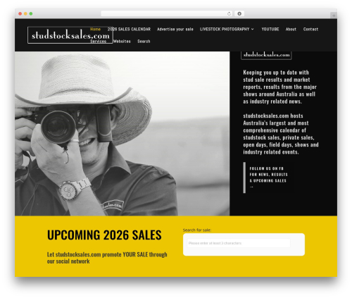 Theme WordPress Divi - studstocksales.com