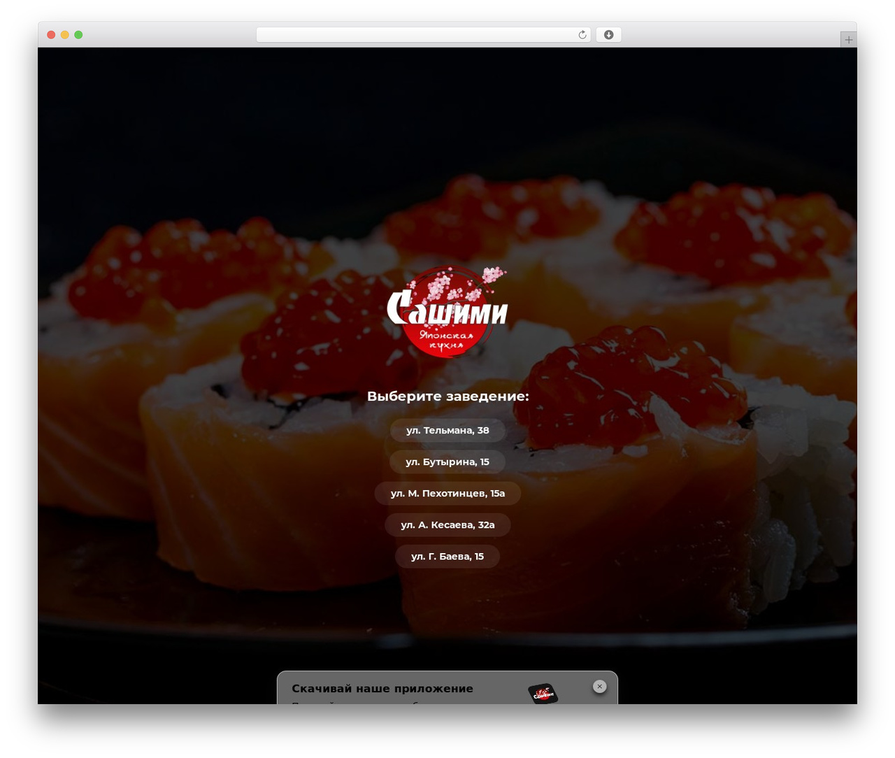 THEME INTRO WordPress theme - sashimi15.ru