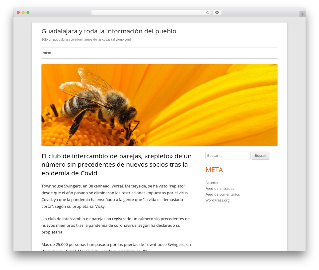 Tiny Framework best free WordPress theme - guadalajaradosmil.es Tiny Framework best free WordPress theme - guadalajaradosmil.es