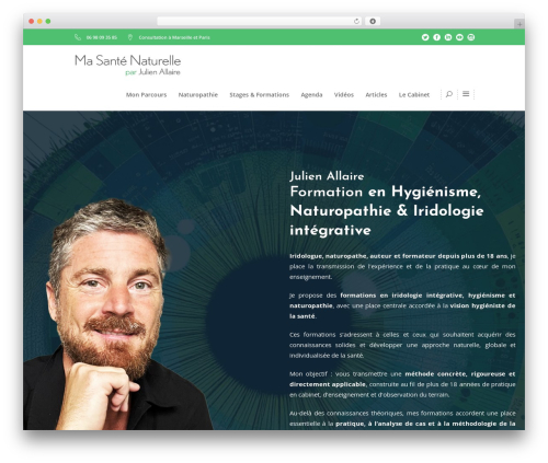 WellSpring WordPress theme - julienallaire.com