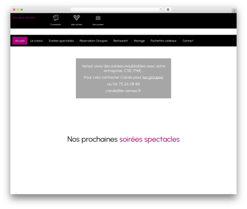 Wordpress Elementor premium WordPress theme - le-sensso.fr