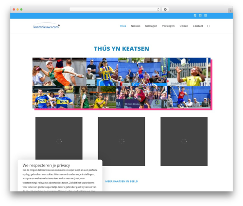 Divi WordPress theme - kaatsnieuws.com